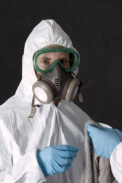 Biohazard Mold Removal in Homeacre Lyndora, PA